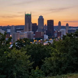 pittsburgh, distant, sunset, trees, looking down, art by tom hammick