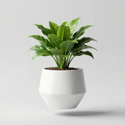 pot plant levitating white geometric pot beautiful fororealistic art featured on artstation