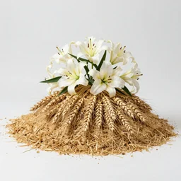 My love is like an heap of wheat, set about with lilies