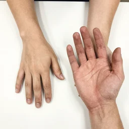 looking down at my left and right hands. my right hand with the palm facing down towards the table and my left hand with the palm facing up towards the camera, a sketch