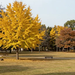 Start of Autumn