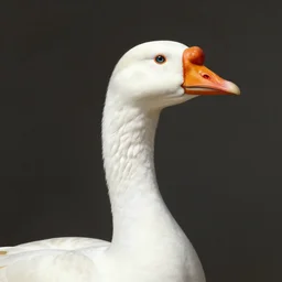 detailed portrait of a goose as the ottoman sultan by rudolf ernst, john frederick lewis, jean - leon gerome, rudolf weisse, david roberts, charles theodore frere, alfred dehodencq, orientalism