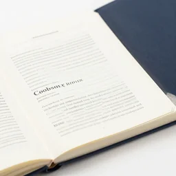 4 5 mm 1 9 7 7 cookbook food photography of an corporate mascot at an office park summoning a demon, photography by tyler mitchell johfra bosschart