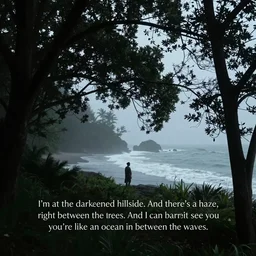 “I’m at the darkened hillside. And there’s a haze, right between the trees. And I can barely see you, you’re like an ocean in between the waves.”