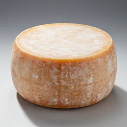 round aged cheese with!!! human body