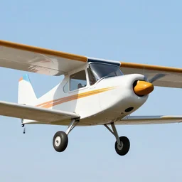 photorealistic image of a duck plane