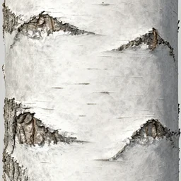 birch tree bark texture material, high definition, high detail, 8k, photorealistic