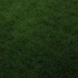 dark grass texture material, high definition, high detail, 8k, photorealistic
