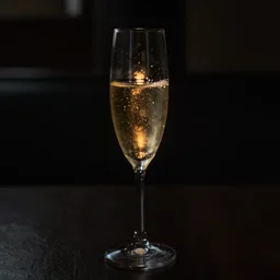 complete darkness. backlit champagne glass. barely visible. one small golden light source. raw. f 1 1. 1 0 seconds