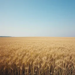 dreamy landscape painting of the fields of the void, color abberation effect, vingetting