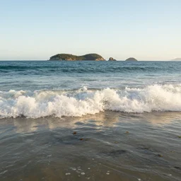 perfect wave breaking in shallow clear water front view, hollister ranch, offshore winds, kelp, islands on horizon, late afternoon