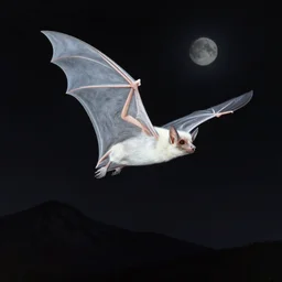 a white bat, flying against a dark black night sky, mountain in the background, moonlight, denoised, very detailed, painted by, norman rockwell, tom bagshaw