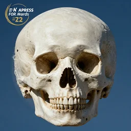 the moon in the sky but it's a giant skull, associated press award winning photo