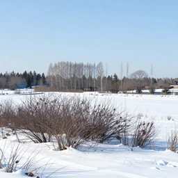 a winter landscape with shrubs and trees on a clear day, in flat style