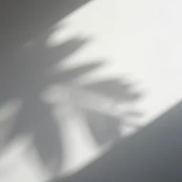 white background