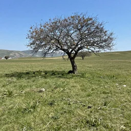 aysun kayacı