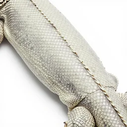 realistic photograph morkaraku ( reptile skin )