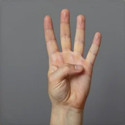 study of a sign language, right little palm with 5!! five!!! straight fingers, detailed, precise, accurate, oil painting, matte painting, award - winning, smooth, realistic, hyperrealism, photo