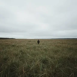 a dream of liminal spaces