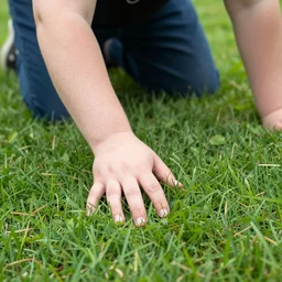 background shot of a fat person touching grass