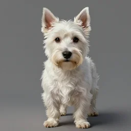 portrait of a handsome white terrier mix, intricate, elegant, highly detailed, ray tracing, digital painting, artstation, concept art, smooth, sharp focus, illustration, art by artgerm and greg rutkowski, 8 k