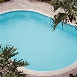 35mm color aerial view vintage photo of a pool with palm tree leaves on the edges, pastel faded effect