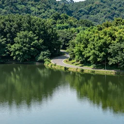 a Lake next to a winding Road with many trees and reflections