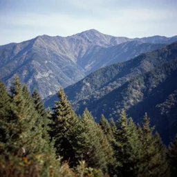 a view of a mountain range with trees in the foreground, a tilt shift photo by david budd, shutterstock contest winner, regionalism, photo taken with ektachrome, high dynamic range, creative commons attribution