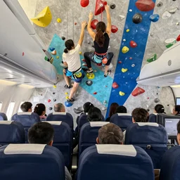 a man has to sit in a delayed airplane while his friends enojy a climbing award - winning digital artwork