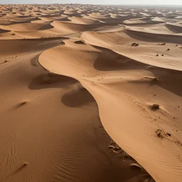 displacement map of a desert terrain