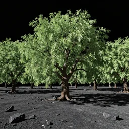 “deep space willow tree forest on asteroid field”