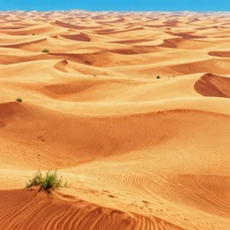 vast desert, sand, intricate linework, highly saturated colors, concept art, hd, 4 k, digital art, bykim jung gi, irakli nadar, greg rutkowski, dan mumford, studio ghibli trending on artstation