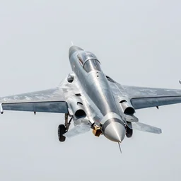 photo of f14 tomcat, photorealistic