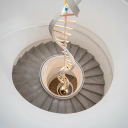 a spiral dna staircase
