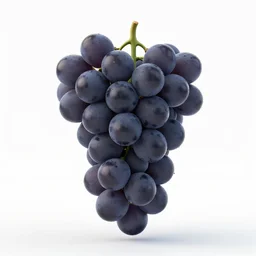 mid-century bunch of grapes, clean 3d render, octane render, isolated on a pure white background, centered, entire object in frame, sharp focus, soft studio lighting