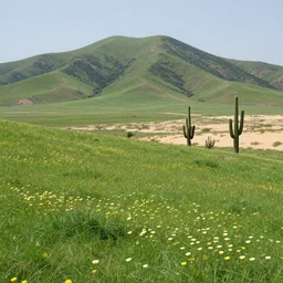 a variety of a scenery of a hill, mountain, green flowers grass plain, and a desert with cactuses, realistic digital art, high - resolution, highly detailed, trending on aststation