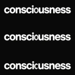 consciousness ((text)) -9