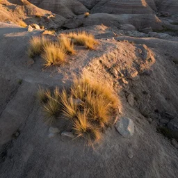 aerial overhead close up shot of badlands ground dig site with tuft grass and rocks in golden hour lighting