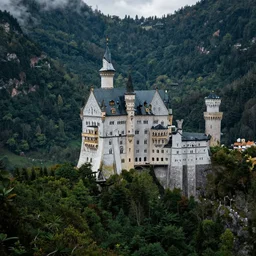The castle is situated on a hill in the middle of a dense forest. The trees are so tall that they obscure the sky. The castle itself is made of white stone, with towers and turrets reaching up into the sky. It's surrounded by a moat, and there is a drawbridge over the moat.