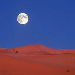 windows xp wallpaper full moon over red dunes, in the style of mary blair,