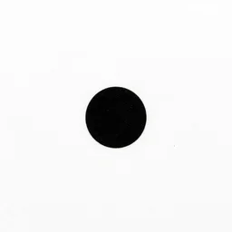 single black dot on white background
