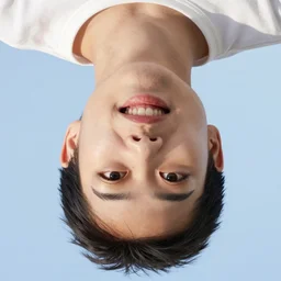 upside - down face, high quality, 4 k