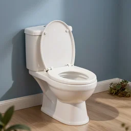 fisher price toilet