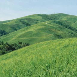 over the hills, by keita okada