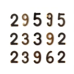 seed = 2 9 5 2 3 9 3 1 6 2