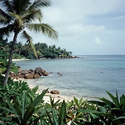 Myst Island, vacation photo, 1993 120mm film