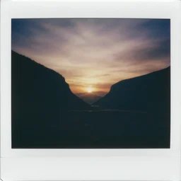 genius dream polaroid