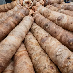 a landscape  photograph of a view of voluminous rolls of flesh, folds of belly flab, skin, veins, bruises, scabs, warts, acne, highly detailed, very intricate details, wide angle lens, depth of field, even lighting