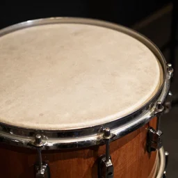 A concert snare drum made of human skin, visible hairs, wooden shell