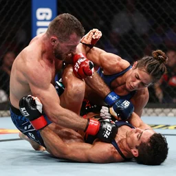 amanda nunes breaking dana white arm with an armbar